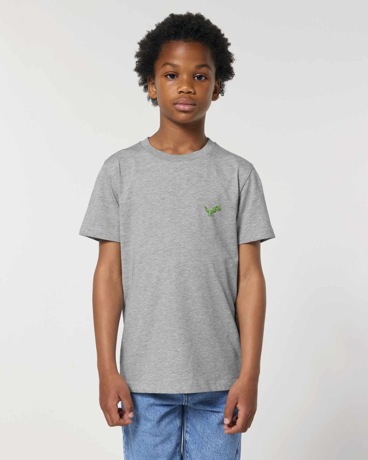 KIDS Tiry Unisex Dino T-Shirt Grau