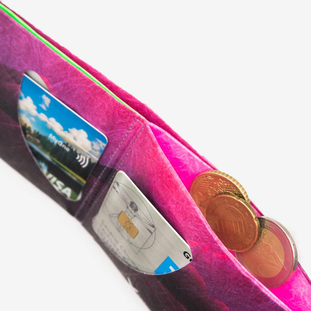 Dinos gegen Nazis RFID Portemonnaie