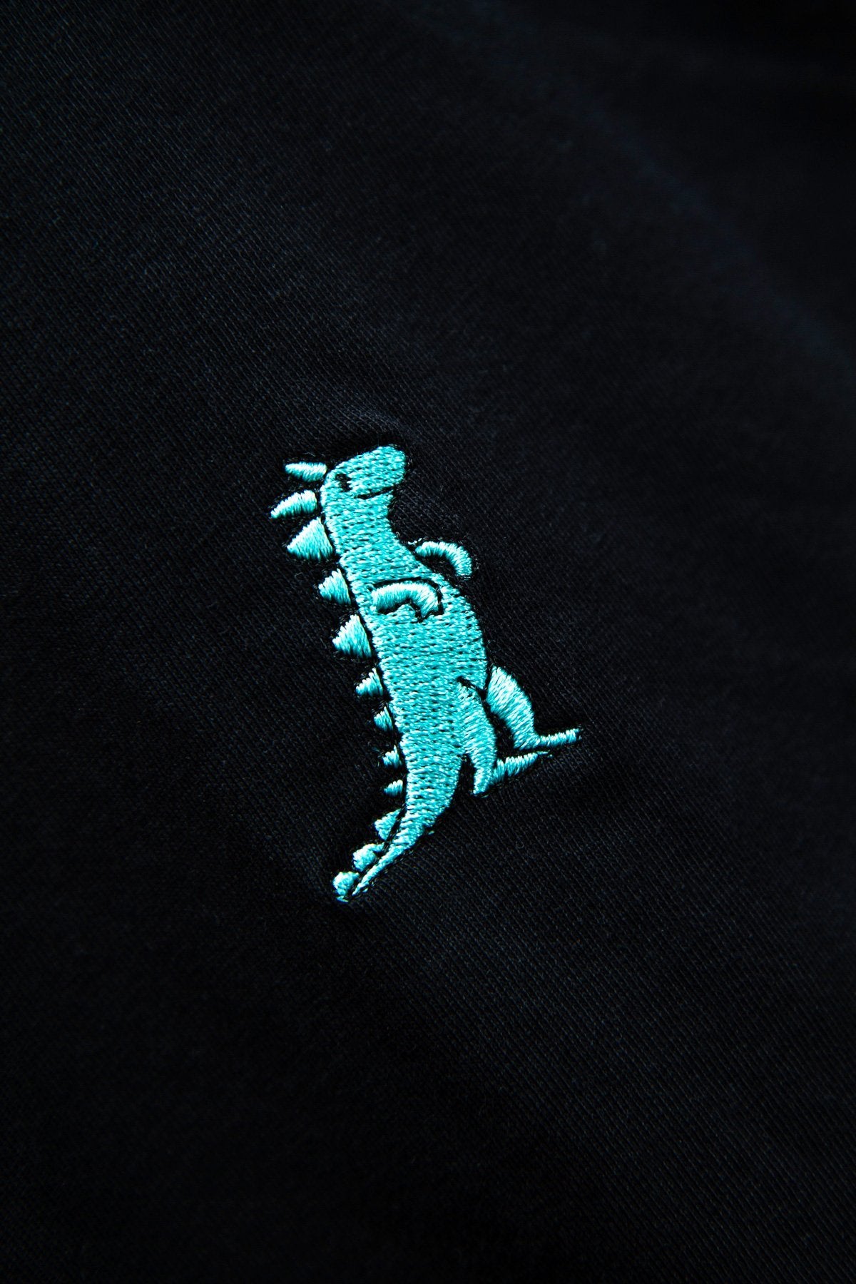 DUMMY fairer Unisex Dinosaurier Hoodie Kreuzueber