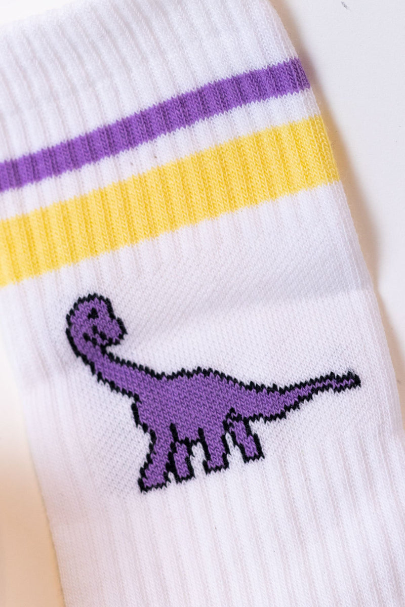 HALSY Dinosaurier Socken Kreuzueber